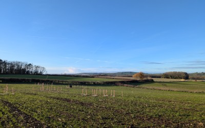 Redcliffe Homes Team Volunteer at Lower Chew Forest