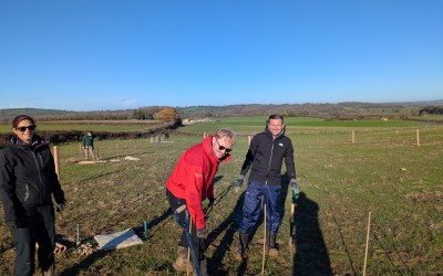 Redcliffe Homes Team Volunteer at Lower Chew Forest